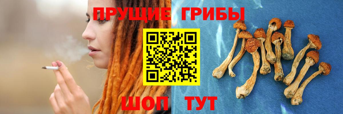 Галлюциногенные грибы GOLDEN TEACHER Балтийск