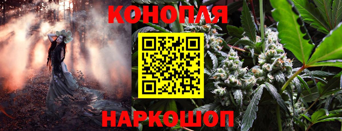 Шишки марихуана план  Вход с VPN  Балтийск  Канабис Ganja 